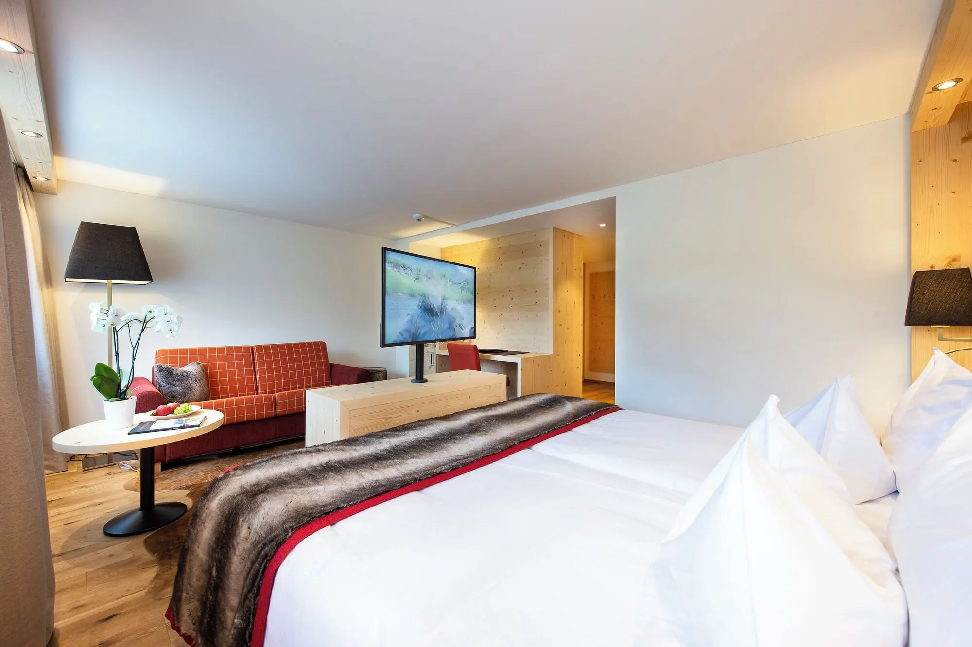 Basic Double Room, 1 Queen Bed with Sofa bed, Pets allowed