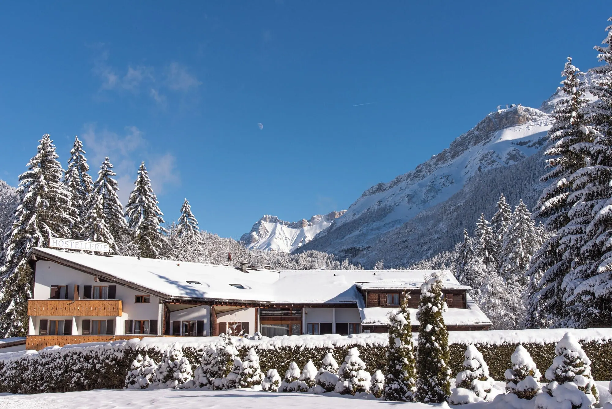 The hotel among snowy trees in winter