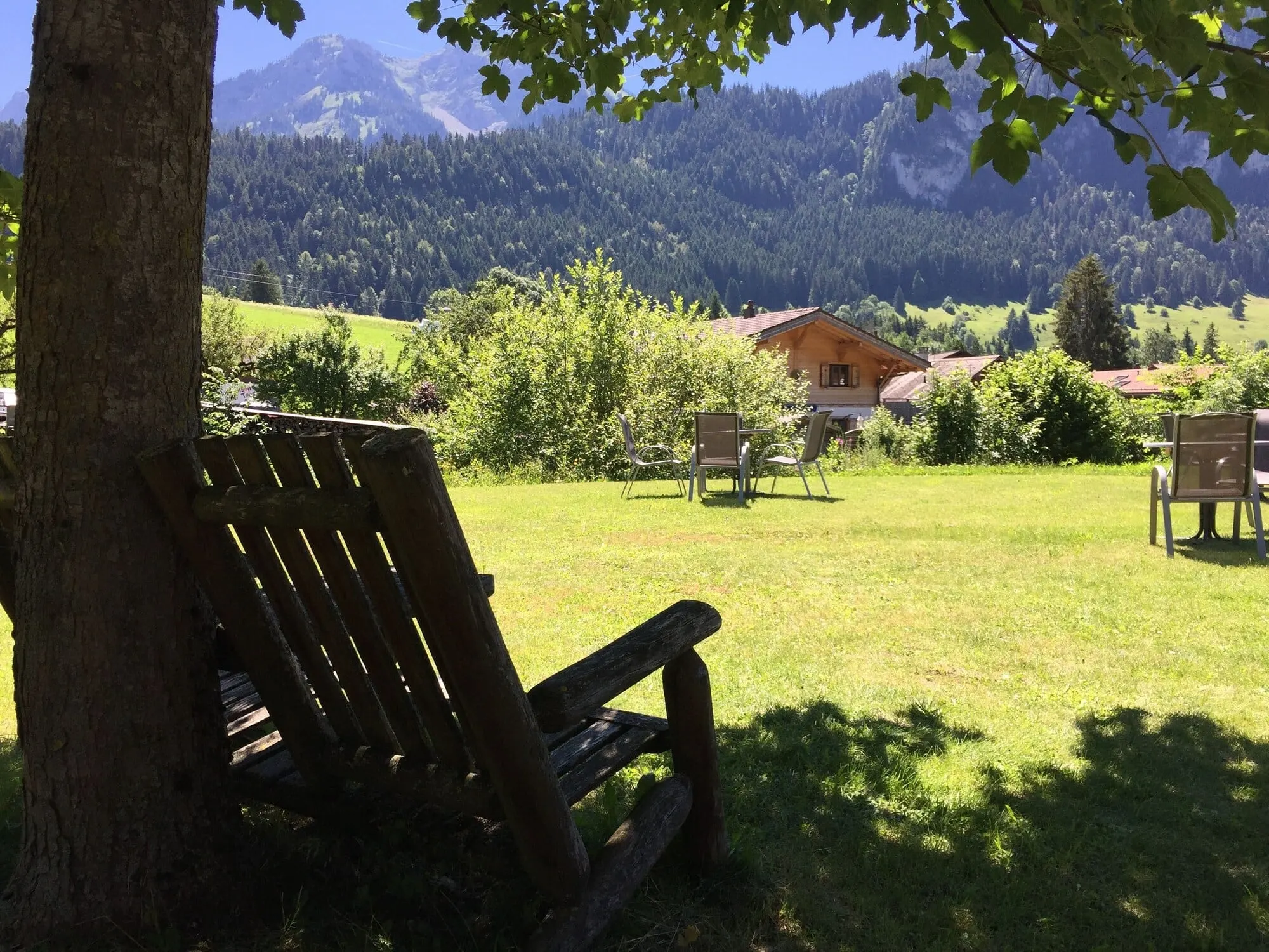The garden in summer