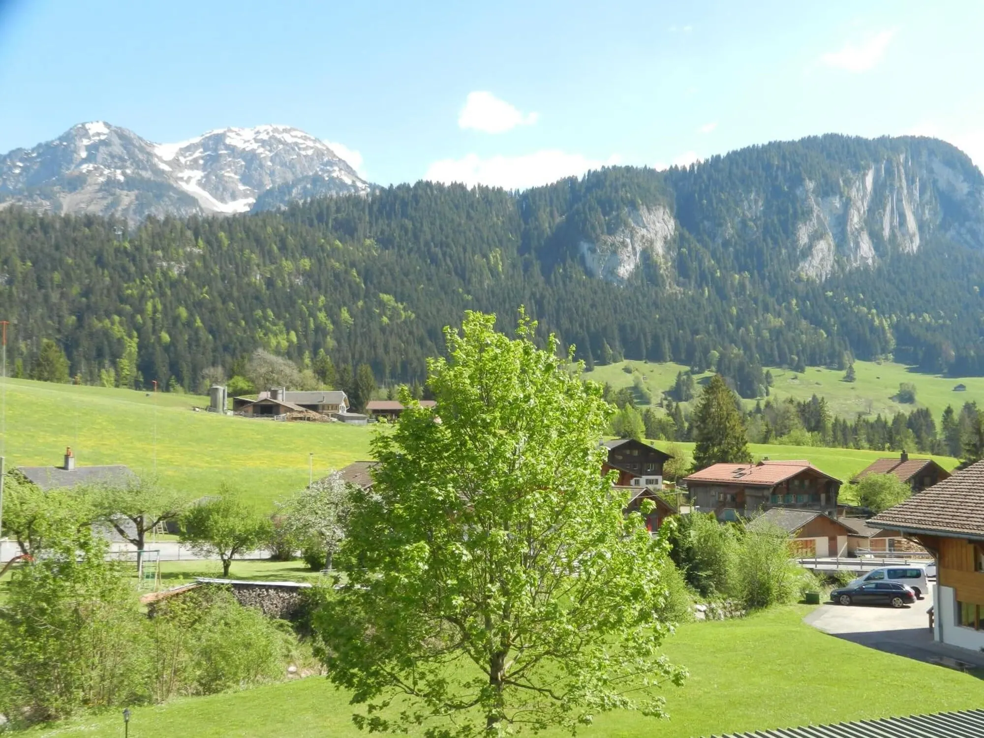 Mountain view over green meadows
