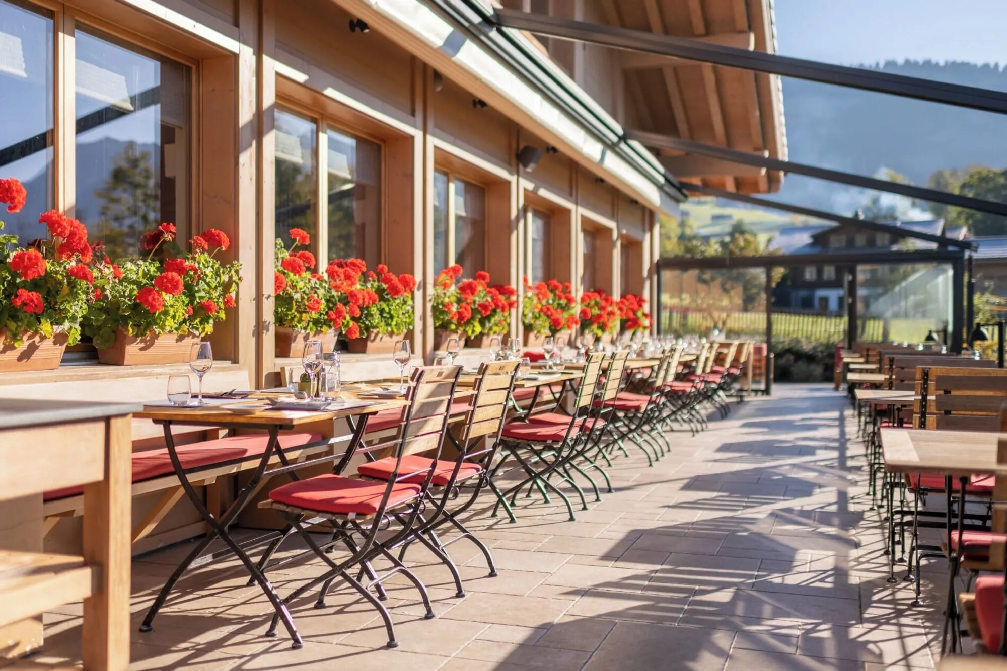 The terrace with red geraniums
