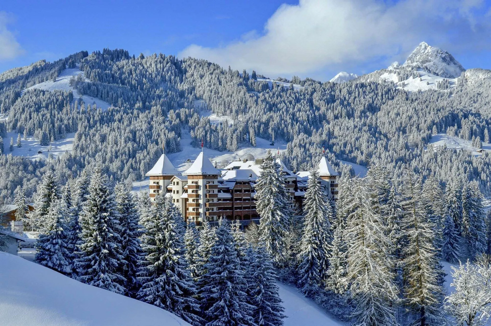 The hotel among snowy forest in winter